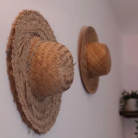 Casa Andorinhas Σπίτι διακοπών Φάρο